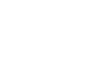 Colosseo Logo Bianco